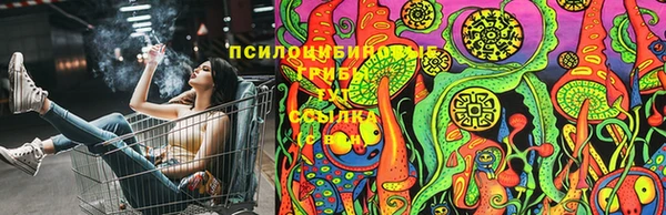 ПСИЛОЦИБИНОВЫЕ ГРИБЫ Балабаново