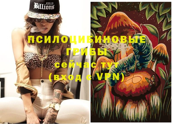 apvp Балахна