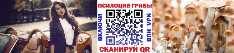 Псилоцибиновые грибы Psilocybine cubensis  mega ТОР  Заречный 