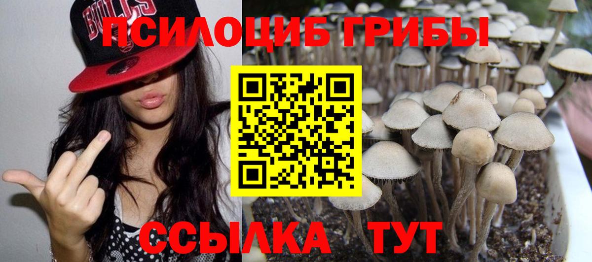 Галлюциногенные грибы GOLDEN TEACHER Заречный