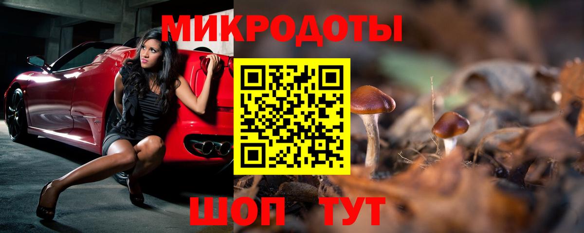 Заречный  Псилоцибиновые грибы прущие грибы  Вход с VPN  купить наркотик  Галлюциногенные грибы Psilocybe 